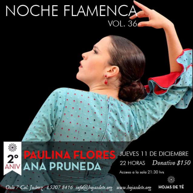 Noche Flamenca vol 36